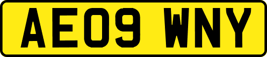 AE09WNY