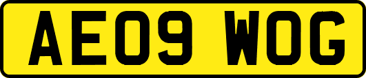 AE09WOG