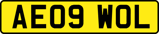 AE09WOL
