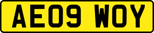 AE09WOY