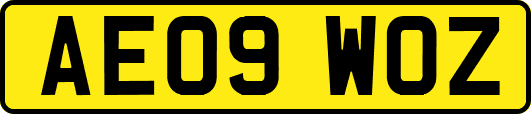 AE09WOZ