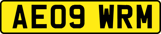 AE09WRM