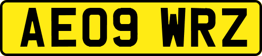 AE09WRZ