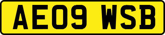 AE09WSB