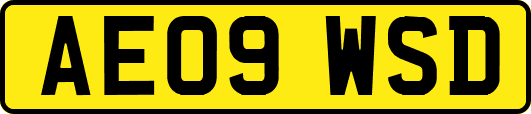 AE09WSD