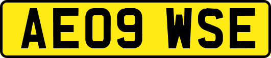 AE09WSE