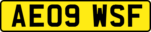 AE09WSF