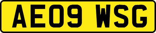 AE09WSG