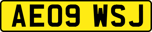 AE09WSJ