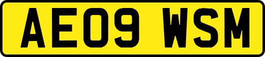AE09WSM