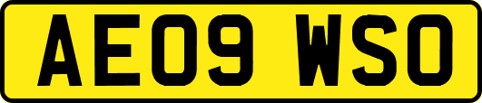 AE09WSO