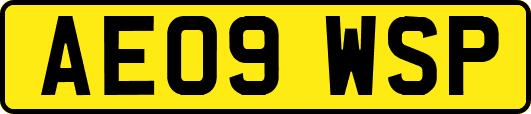 AE09WSP