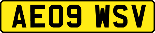 AE09WSV