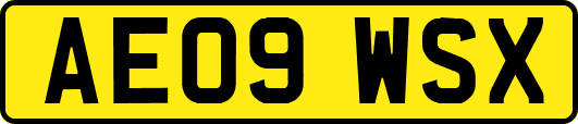 AE09WSX