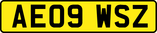 AE09WSZ