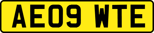 AE09WTE