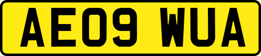 AE09WUA