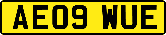 AE09WUE