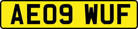 AE09WUF