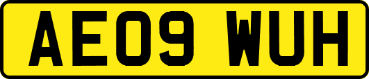 AE09WUH