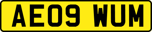 AE09WUM