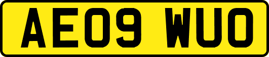 AE09WUO