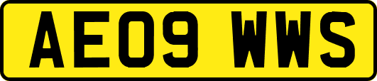 AE09WWS