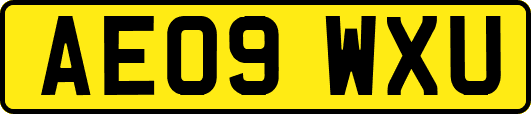 AE09WXU