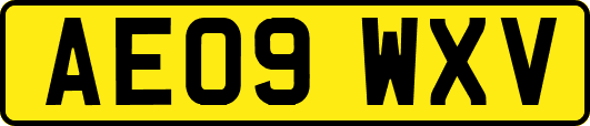 AE09WXV