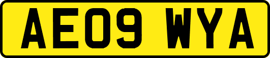 AE09WYA