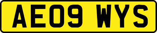 AE09WYS