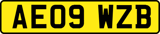 AE09WZB