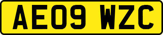 AE09WZC