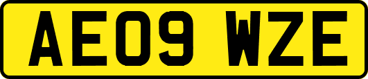 AE09WZE