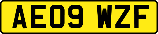 AE09WZF