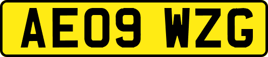 AE09WZG