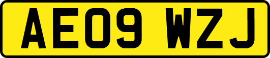 AE09WZJ