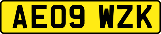 AE09WZK