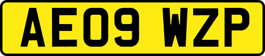 AE09WZP