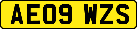 AE09WZS