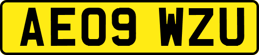 AE09WZU