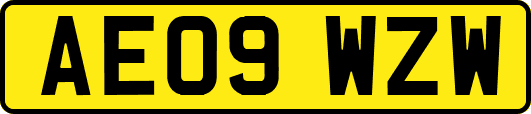 AE09WZW