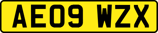 AE09WZX