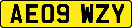 AE09WZY