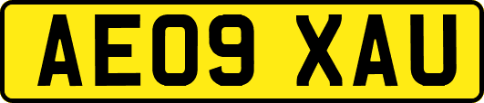 AE09XAU