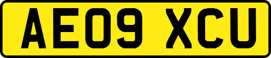AE09XCU