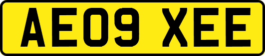 AE09XEE