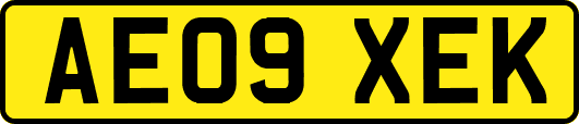 AE09XEK