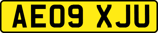AE09XJU