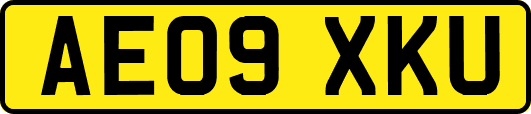 AE09XKU